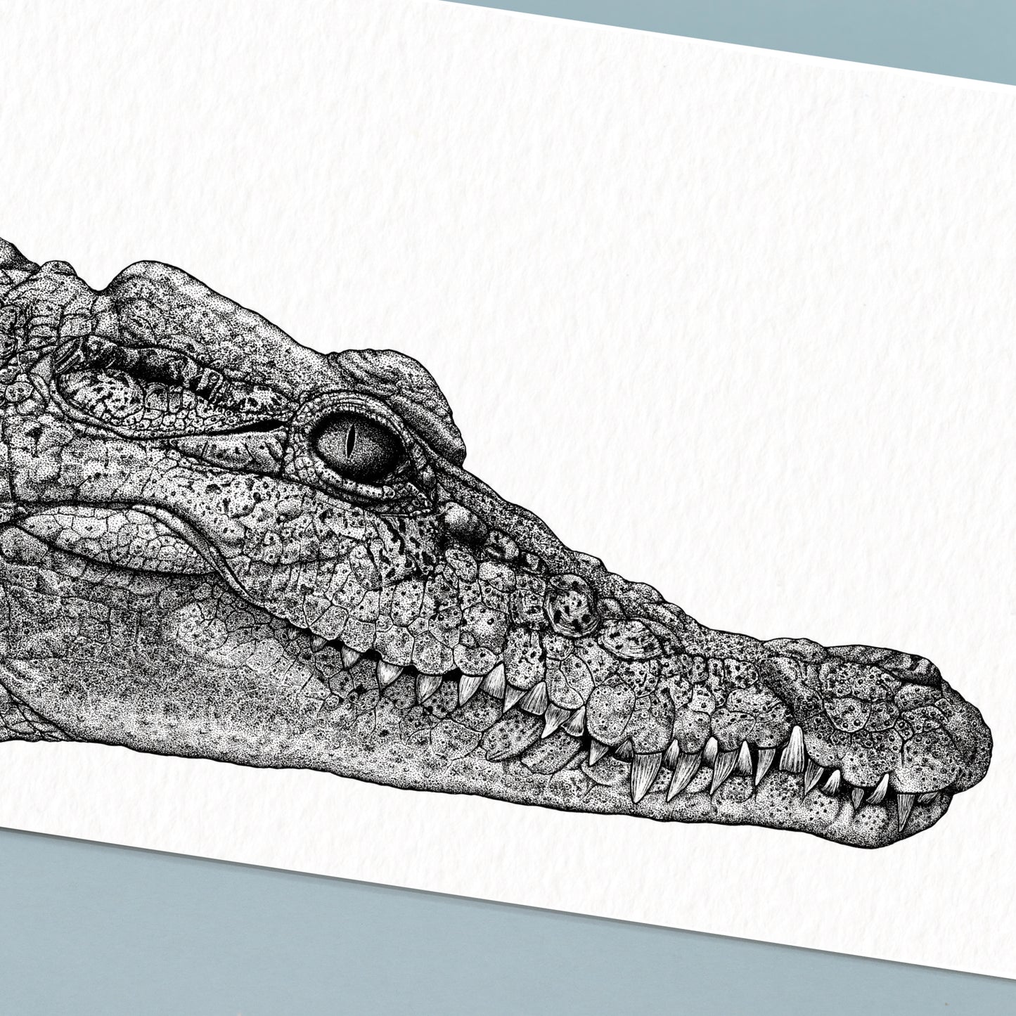 Philippine Crocodile Art Print - White