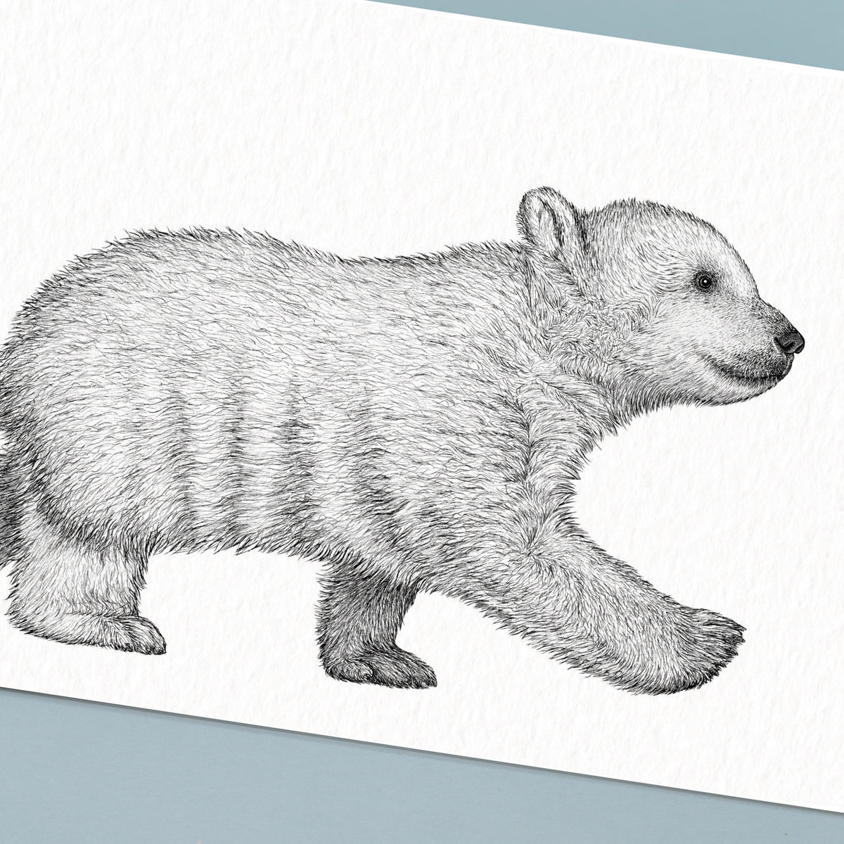 Polar Bear Cub Art Print - White