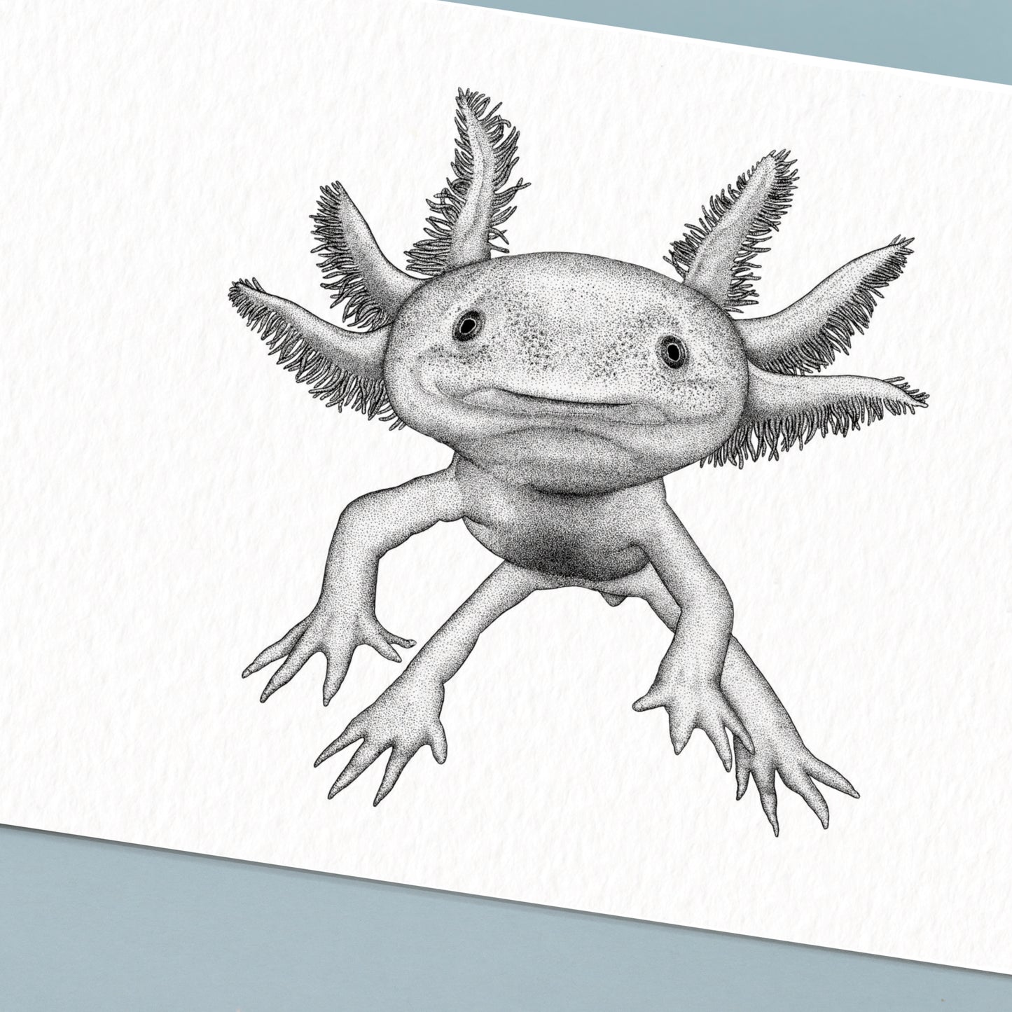 Axolotl Art Print - White
