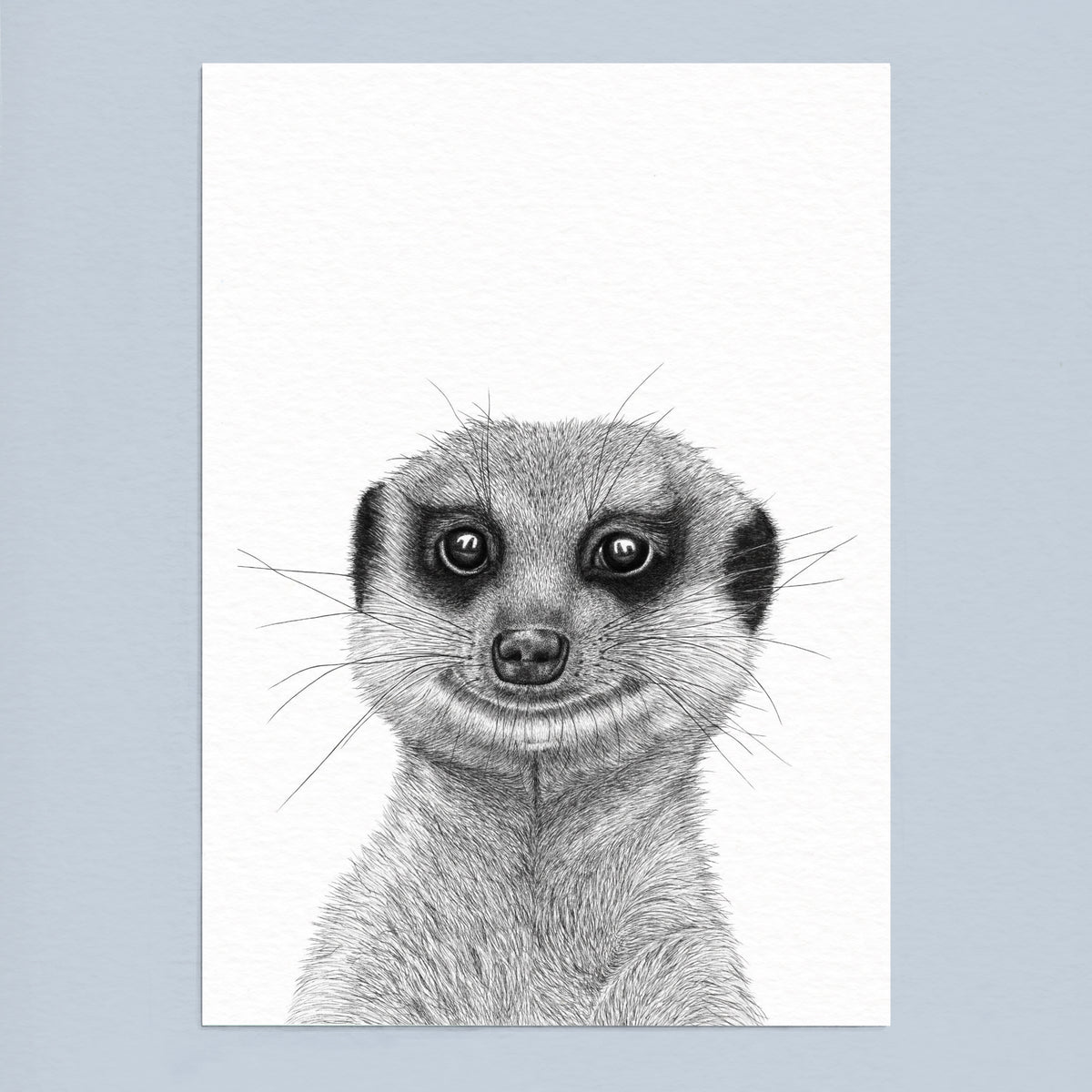 Meerkat Art Print - White