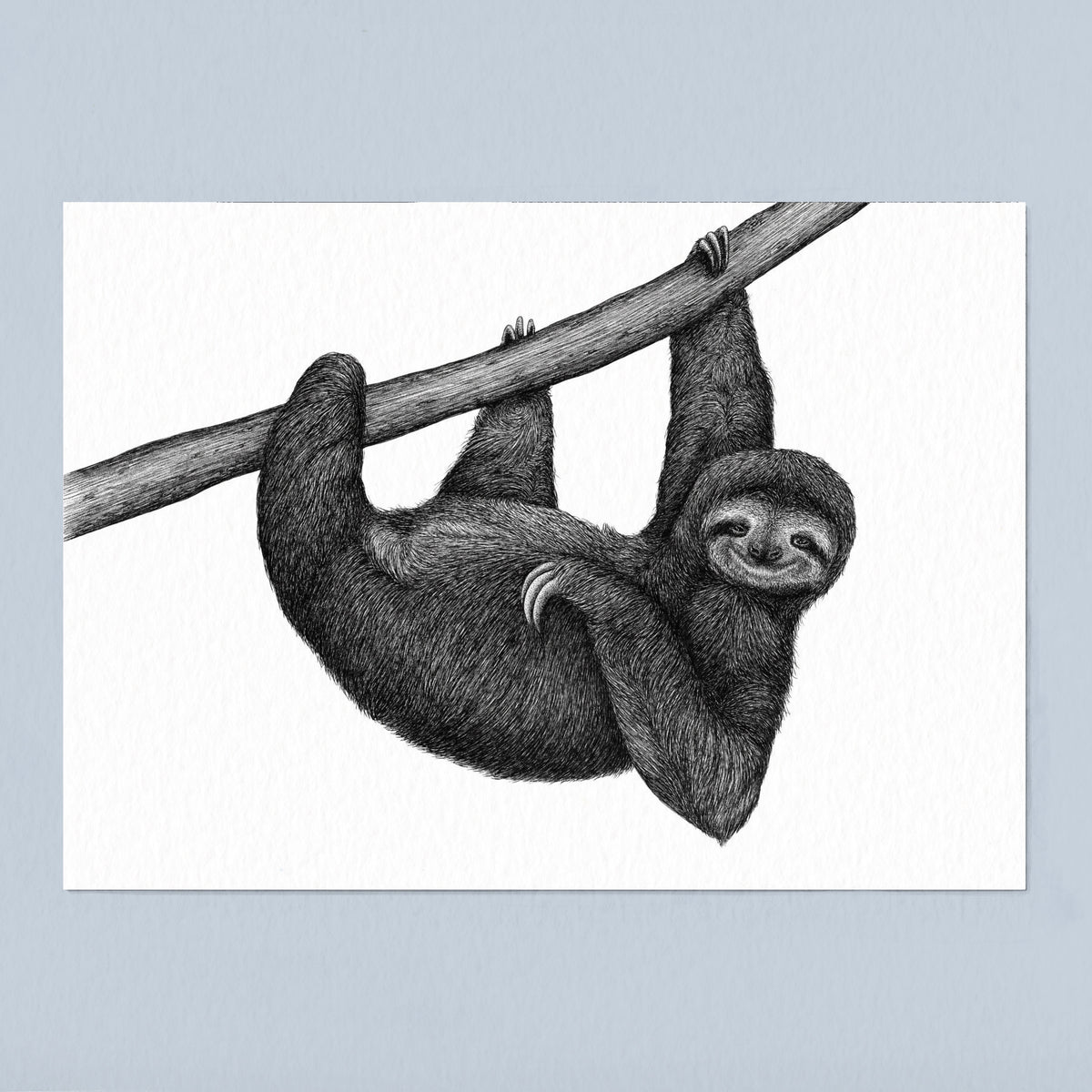 Sloth Art Print - White