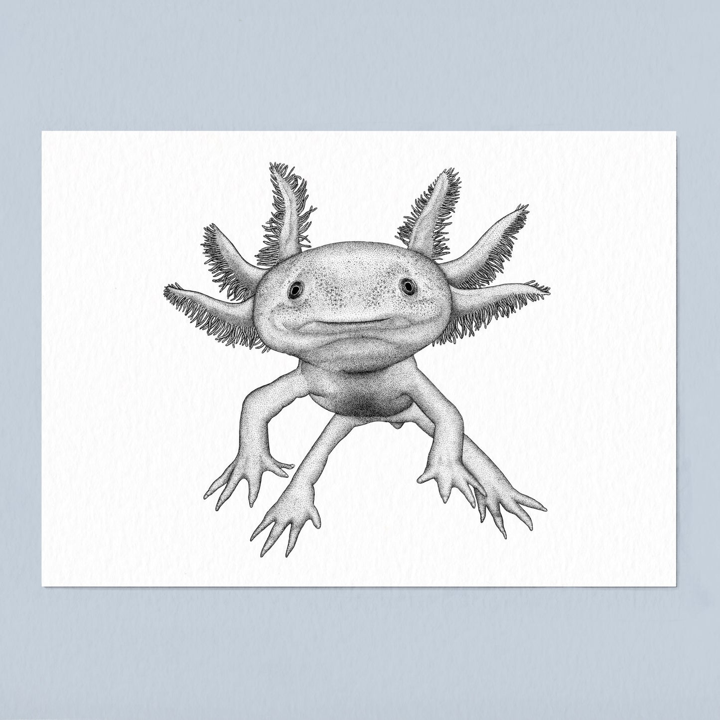 Axolotl Art Print - White