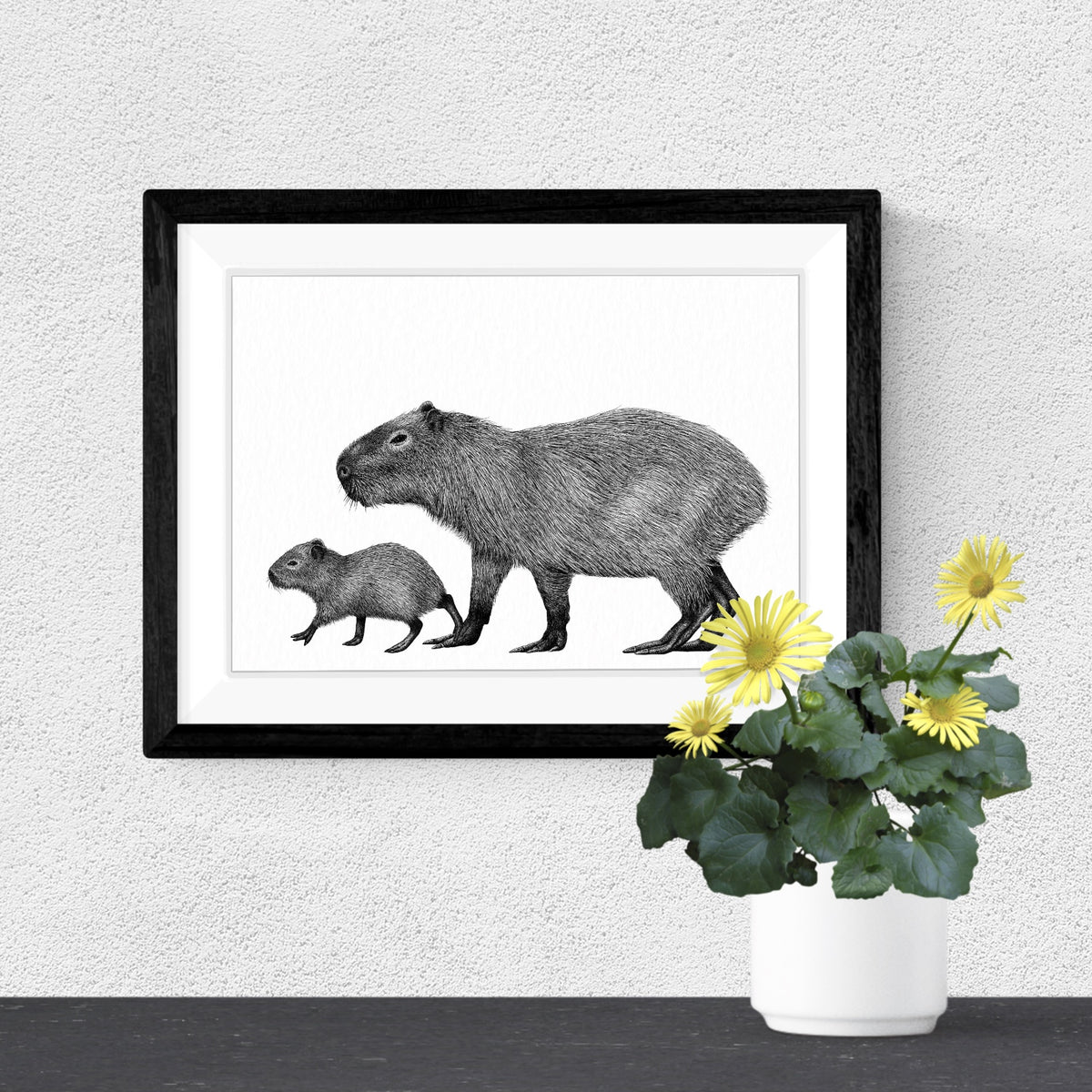 Capybara Art Print - White