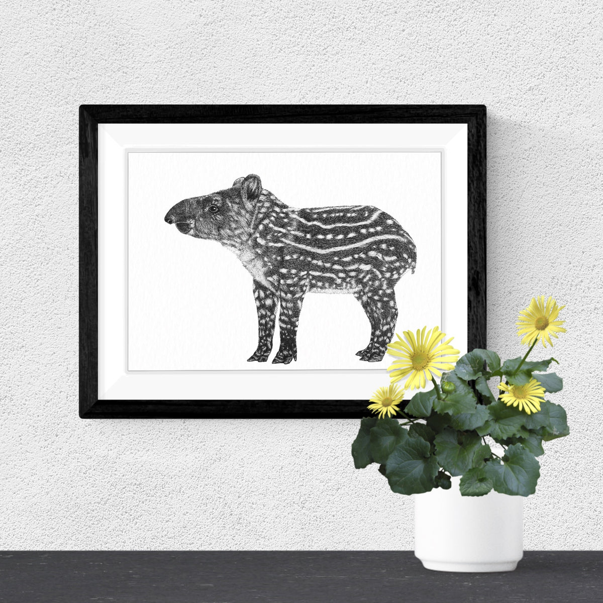 Brazilian Tapir Art Print - White