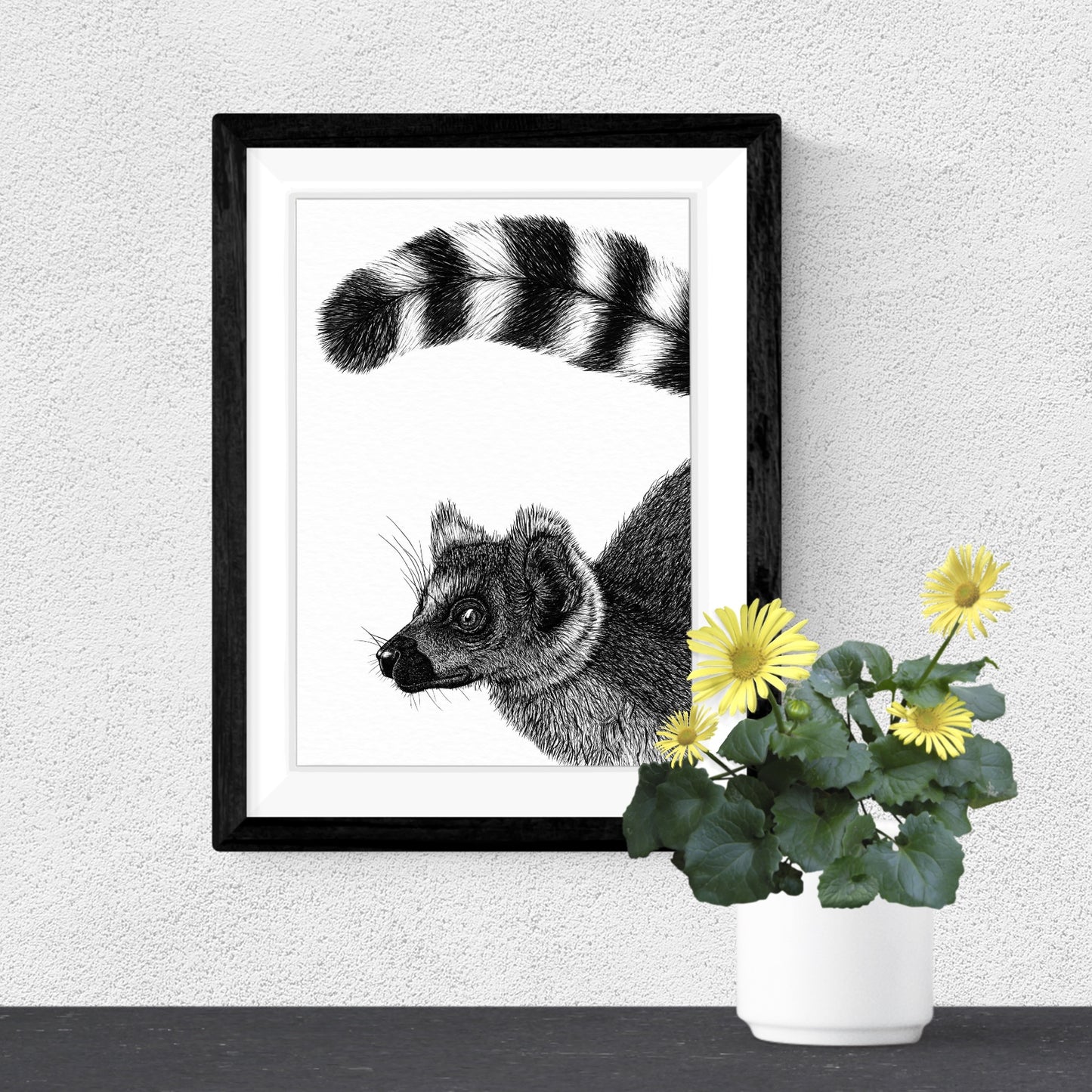 Ring-Tailed Lemur Art Print - White
