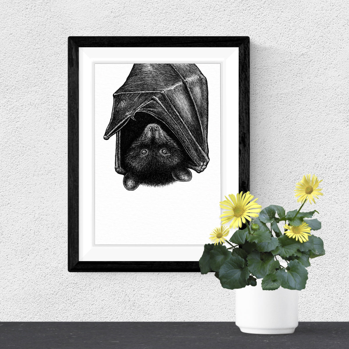 Livingstone's Fruit Bat Art Print - White