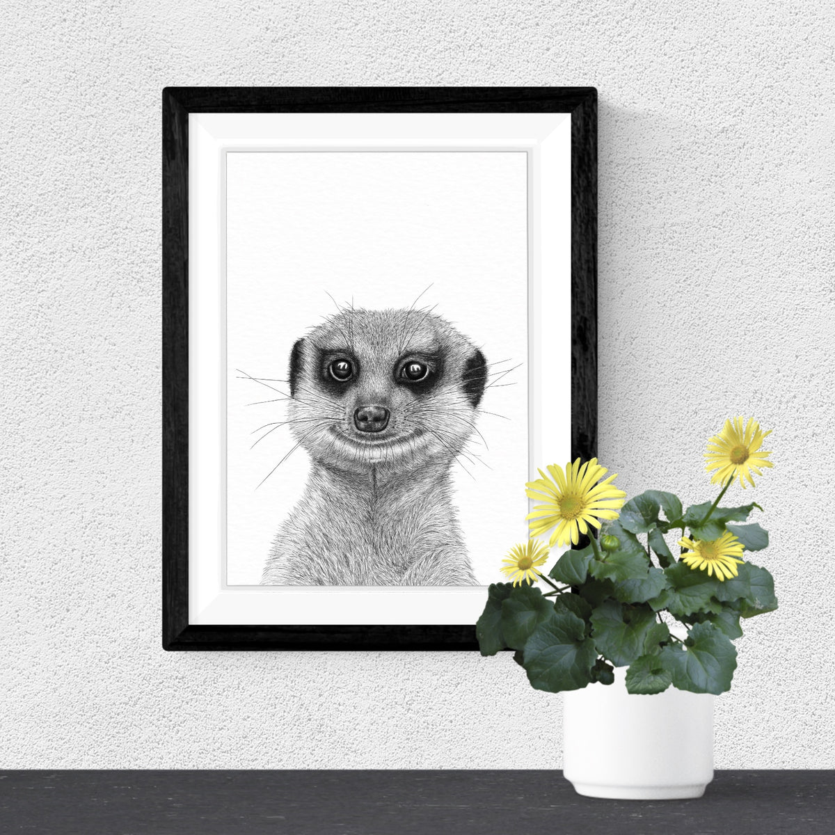 Meerkat Art Print - White