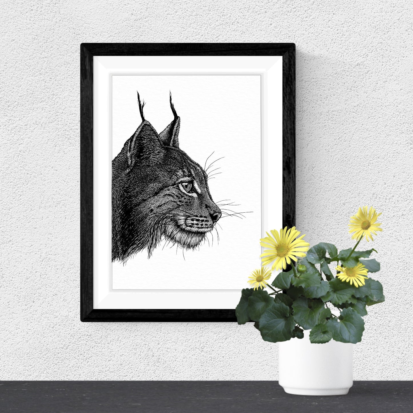 Lynx Art Print - White