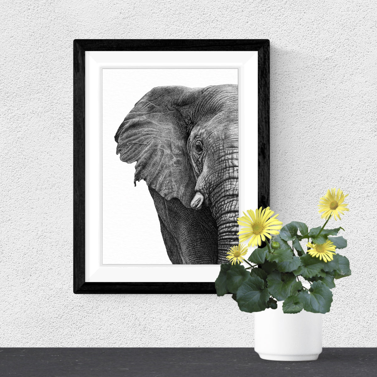 African Elephant Art Print - White
