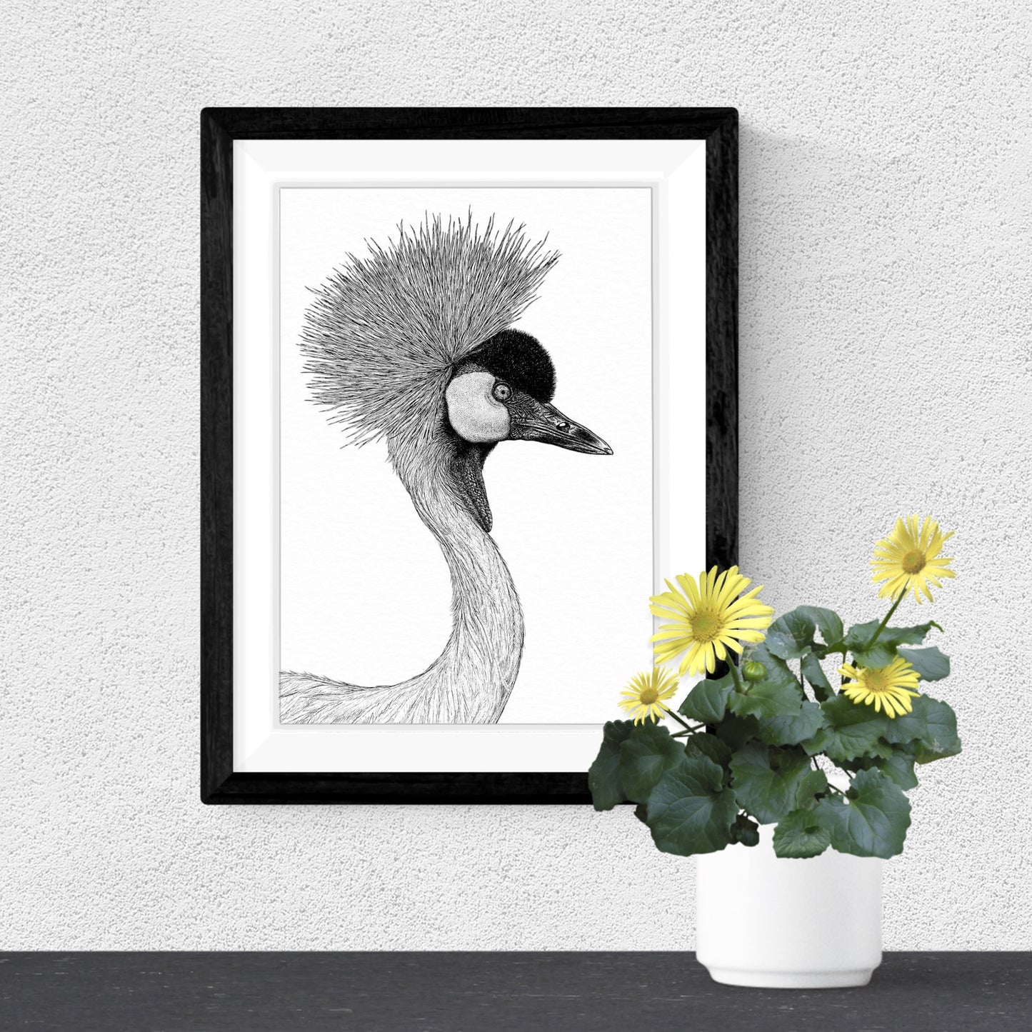 Grey Crowned Crane Art Print - White