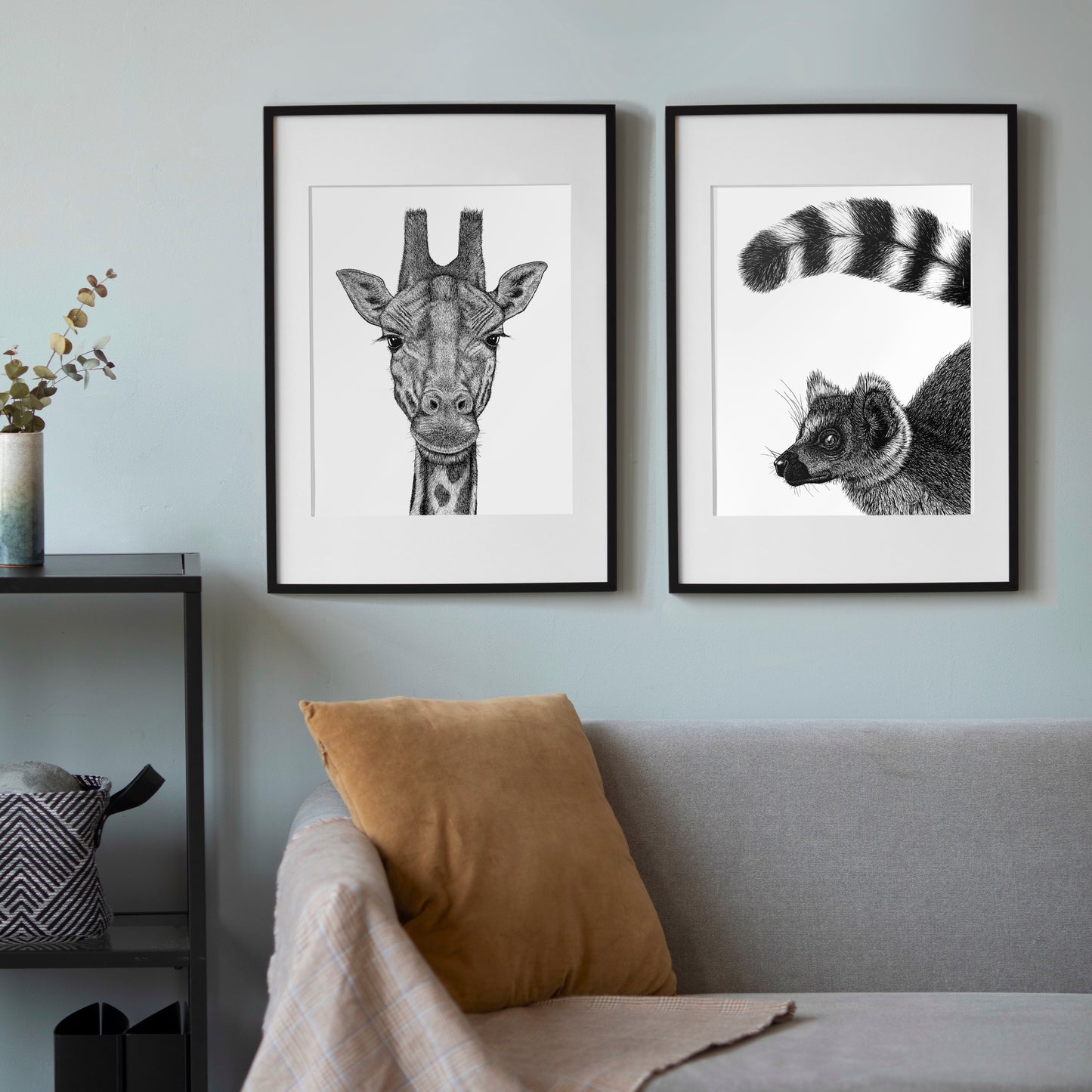 Ring-Tailed Lemur Art Print - White