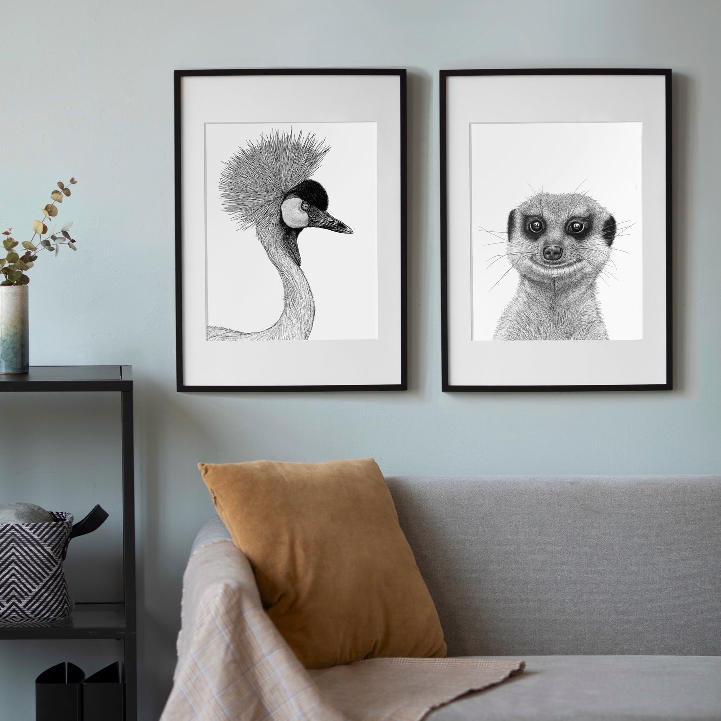 Grey Crowned Crane Art Print - White