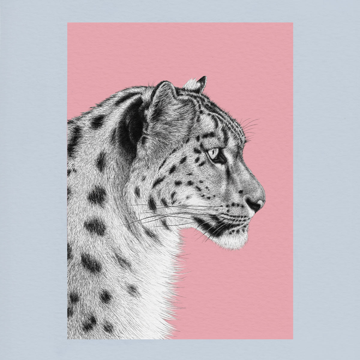 Snow leopard art print