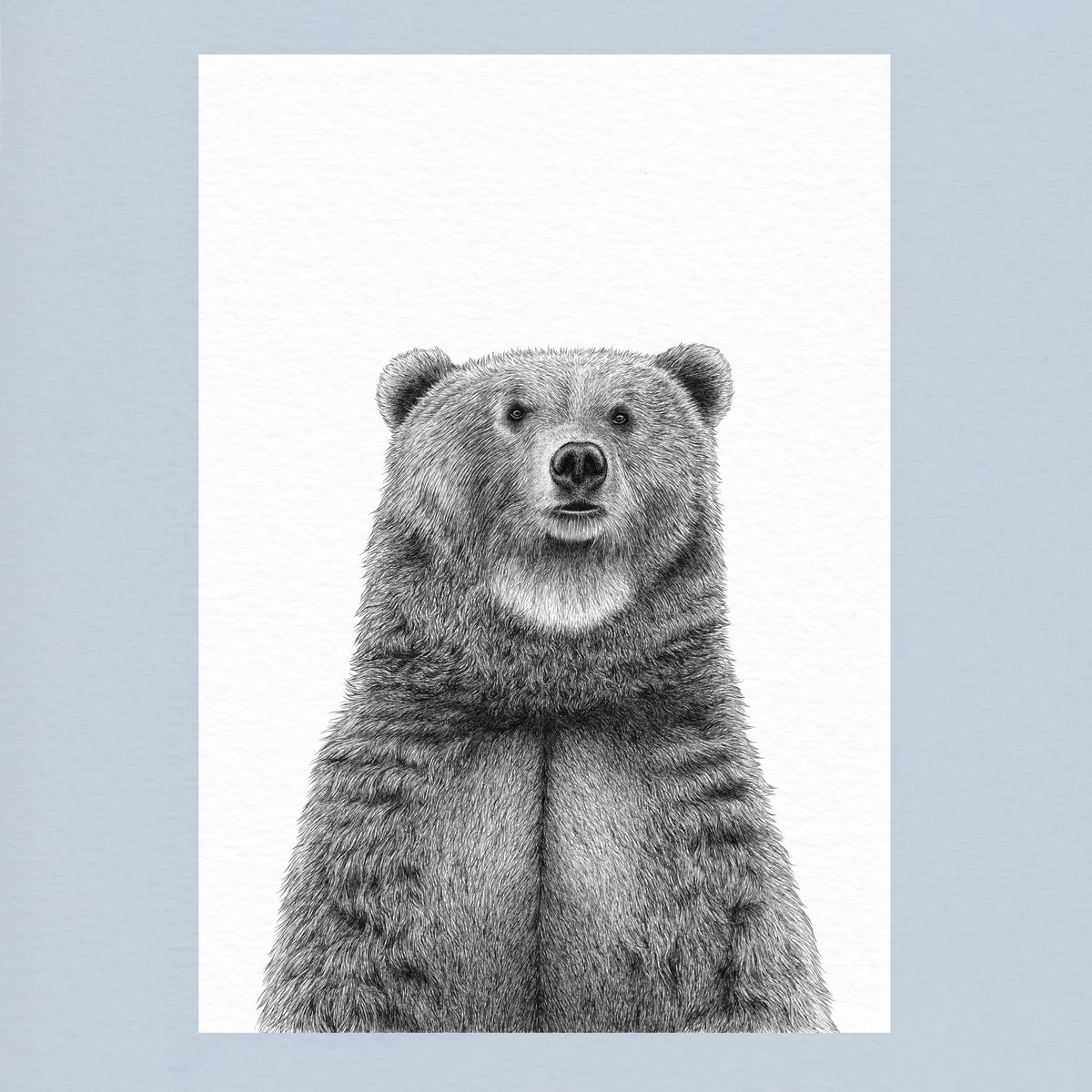 Brown Bear Art Print - White