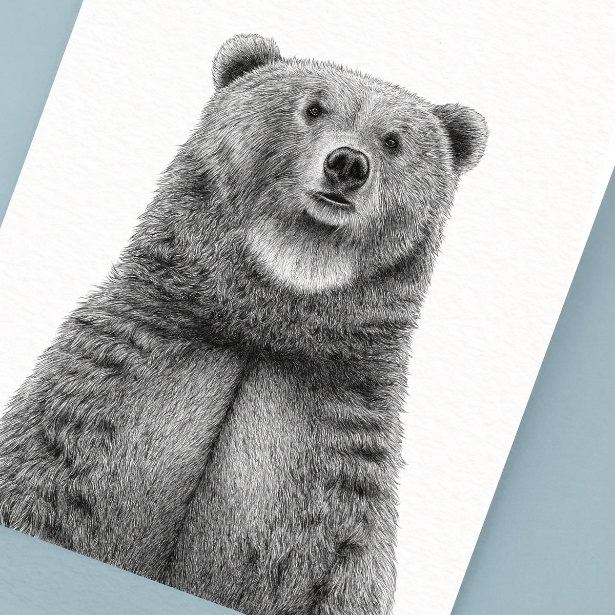 Brown Bear Art Print - White