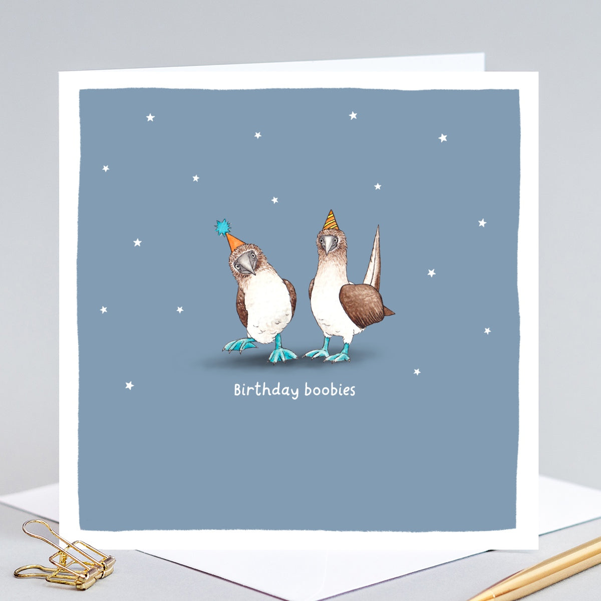 Birthday boobies card