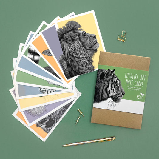 Box of 10 note cards