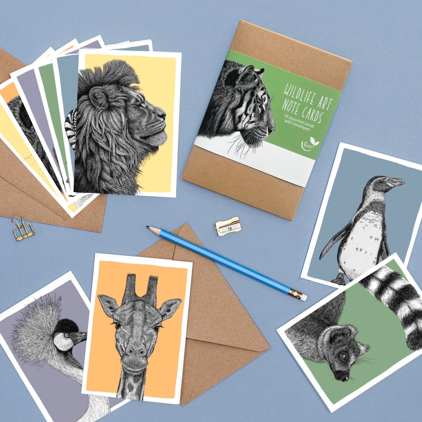 Box of 10 note cards