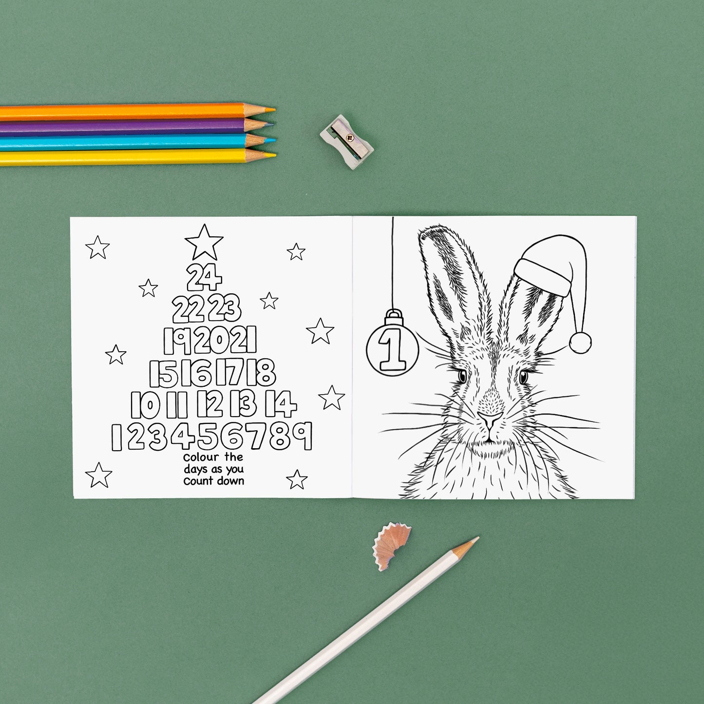 Wild Advent Colouring Book - British Wildlife Edition