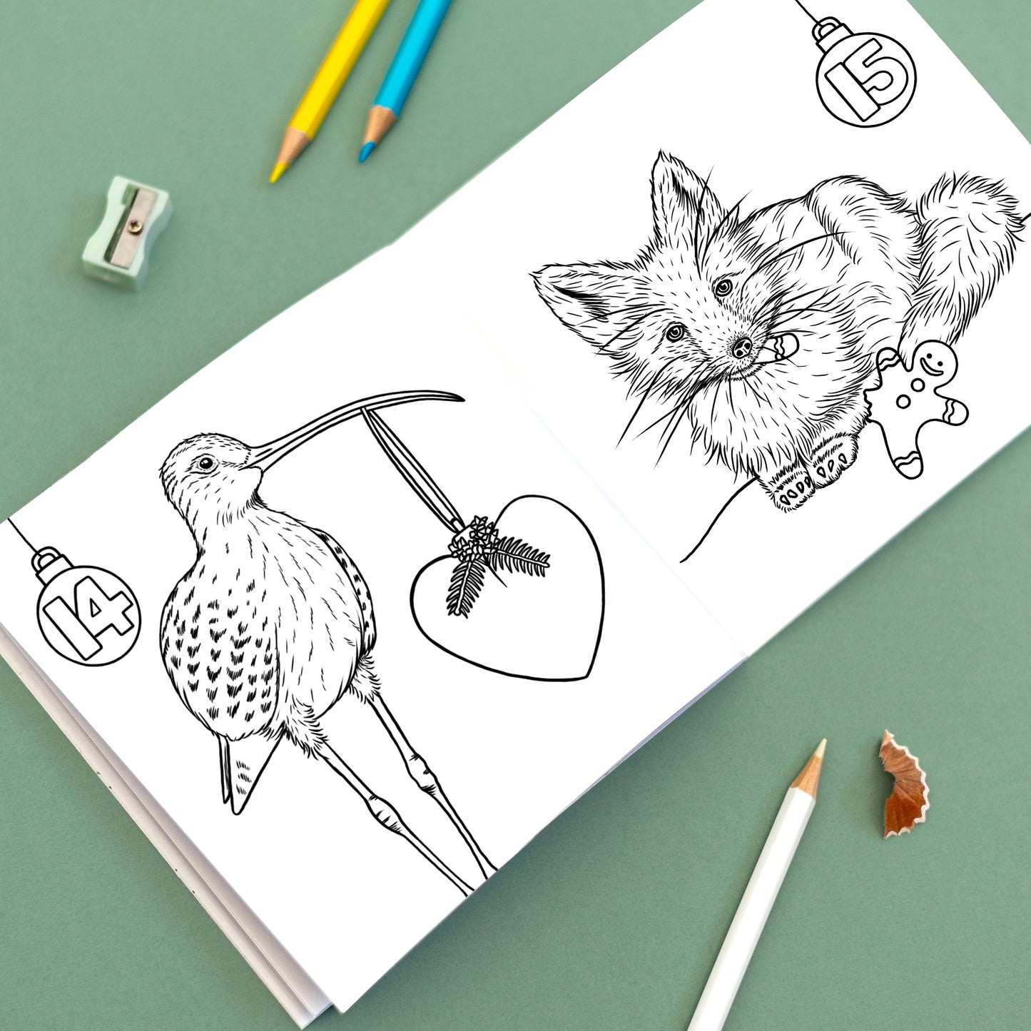 Wild Advent Colouring Book - British Wildlife Edition