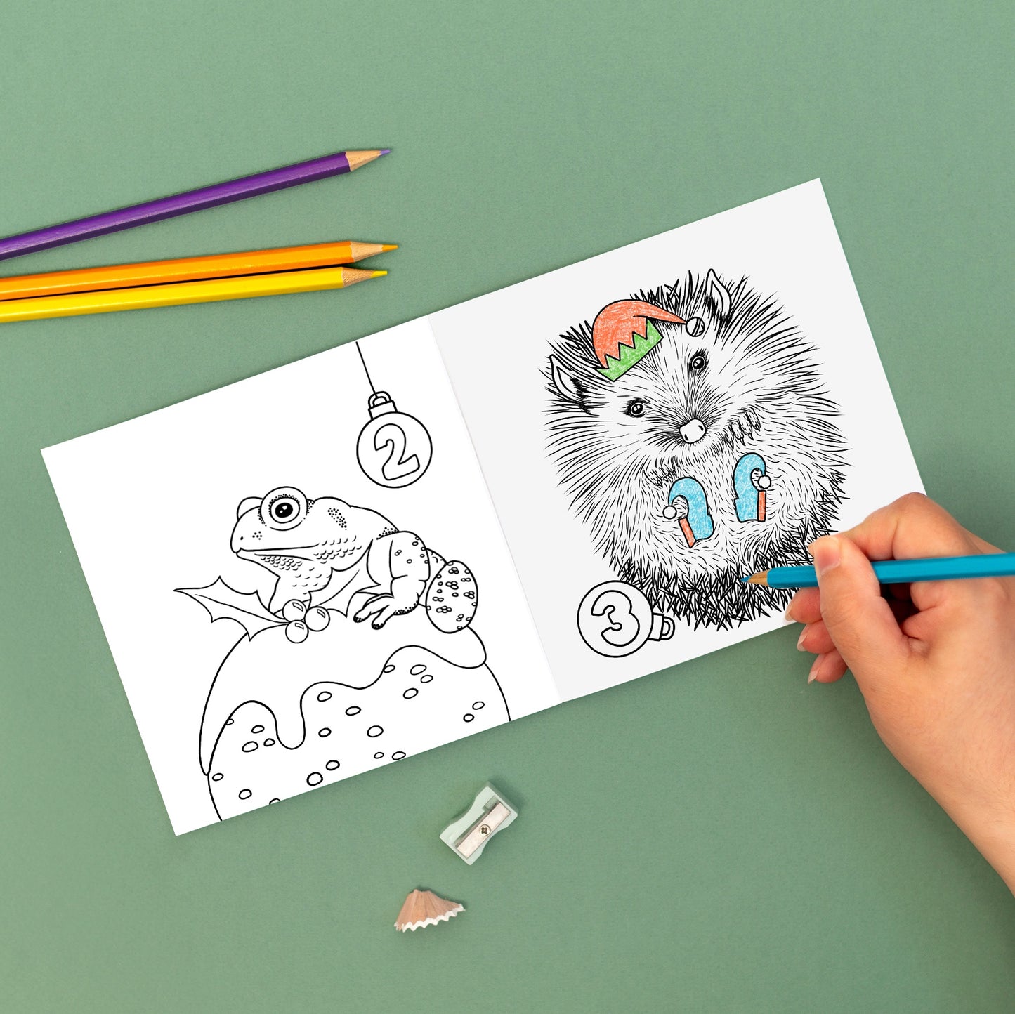 Wild Advent Colouring Book - British Wildlife Edition