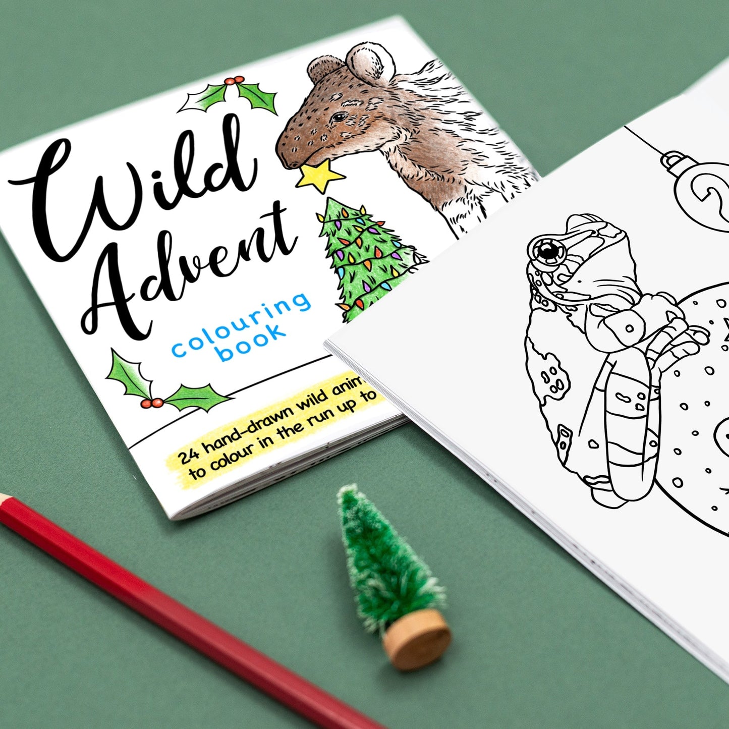 Wild Advent Colouring Book - Rainforest Edition