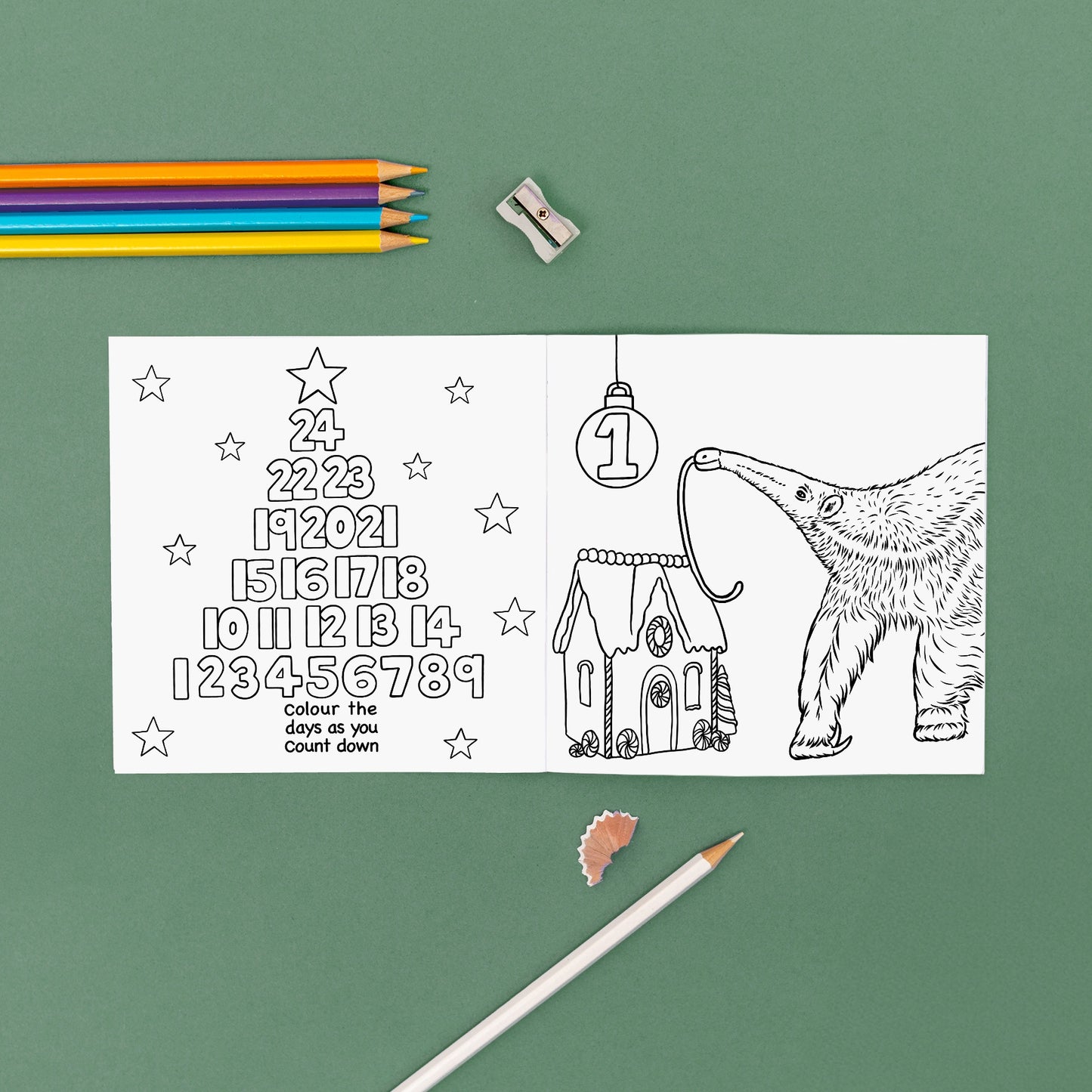 Wild Advent Colouring Book - Rainforest Edition