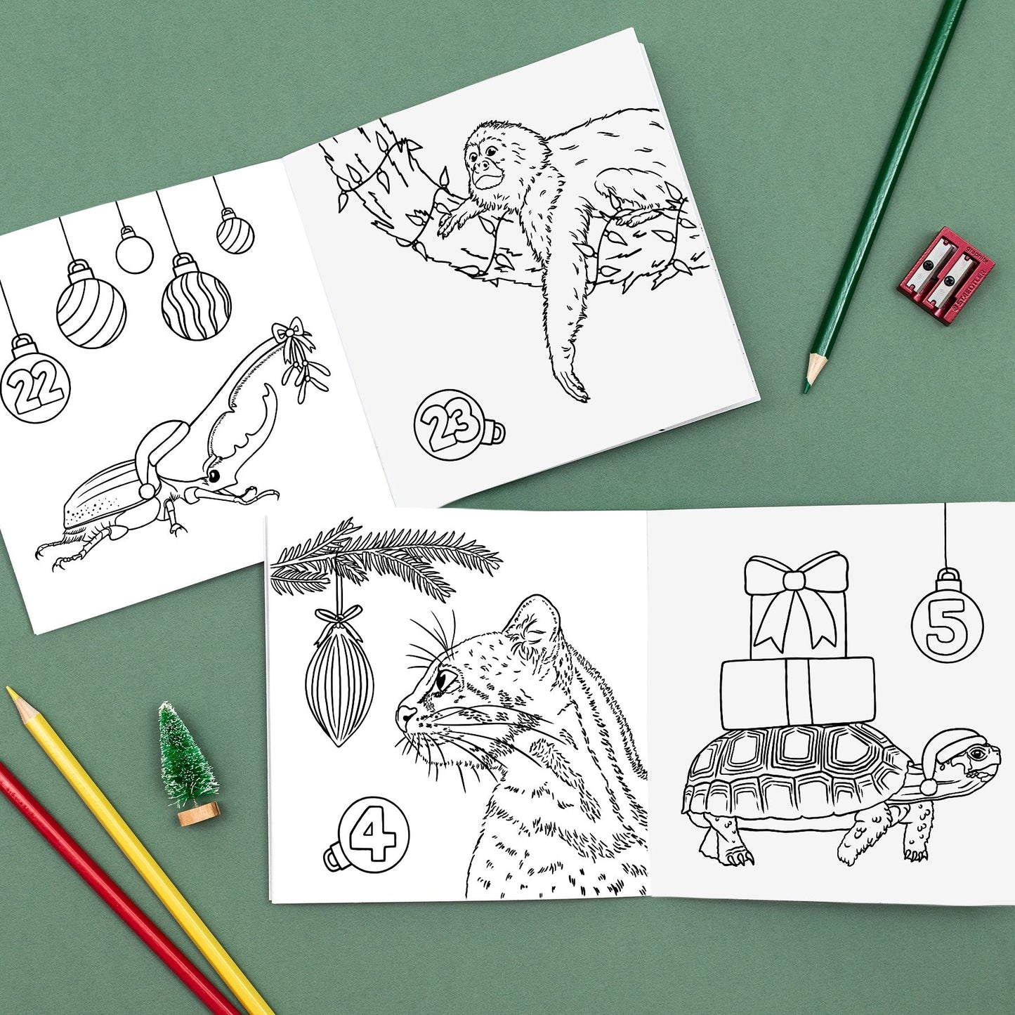 Wild Advent Colouring Book - Rainforest Edition