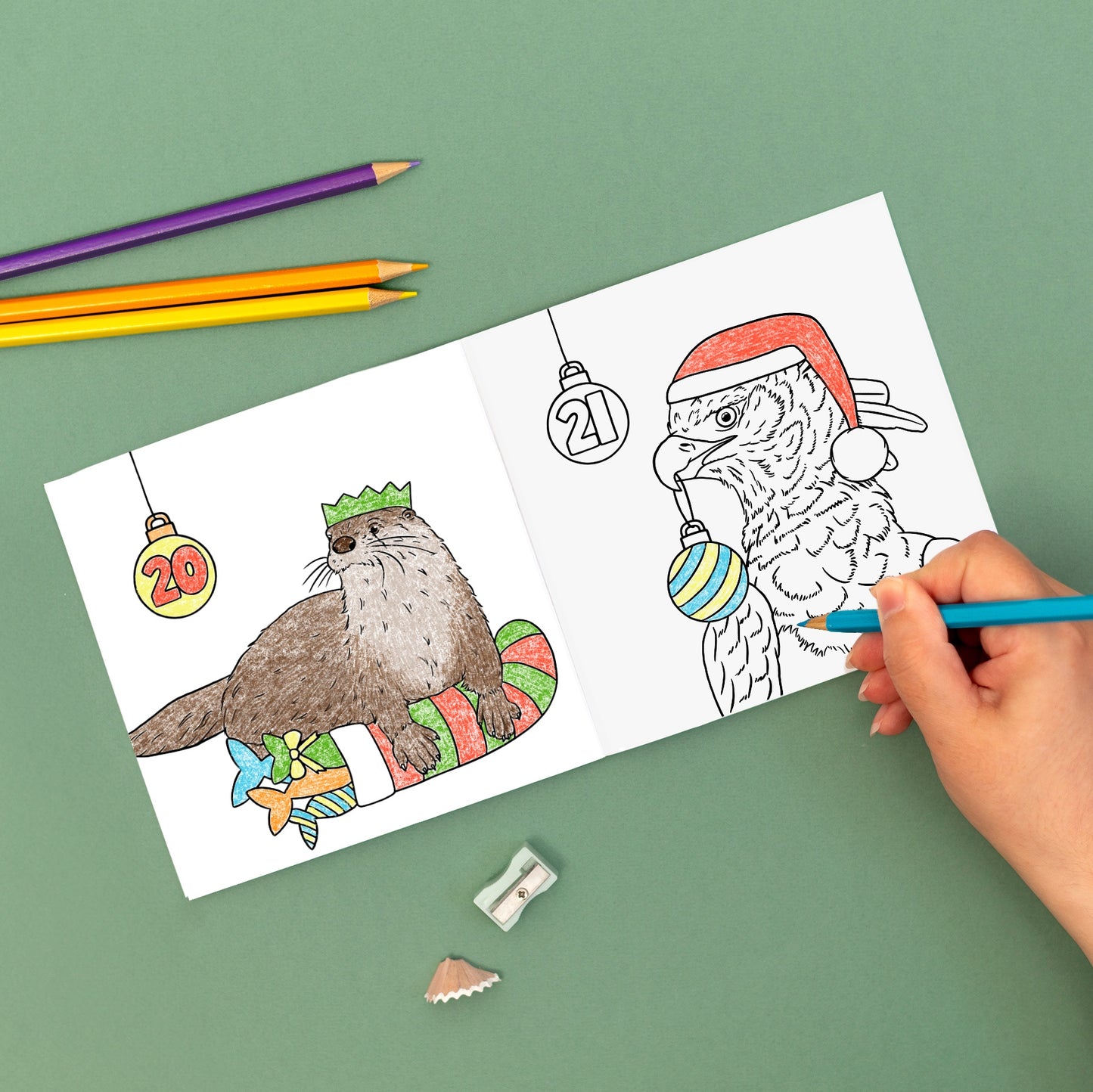 Wild Advent Colouring Book - Rainforest Edition