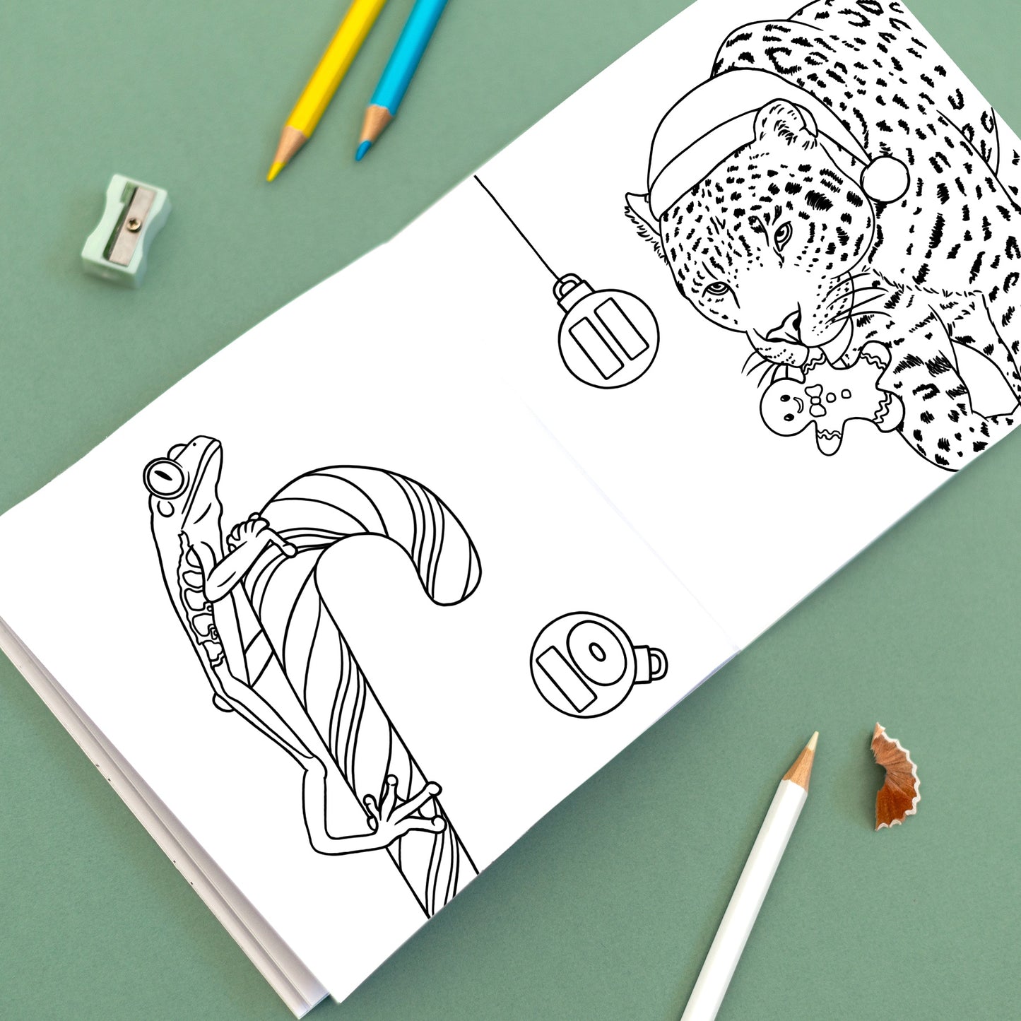 Wild Advent Colouring Book - Rainforest Edition