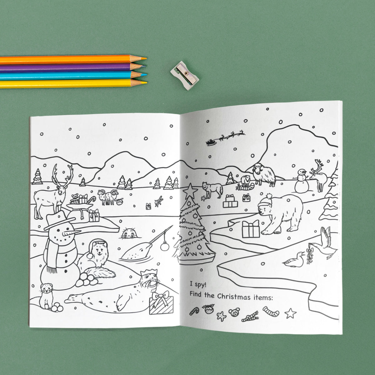 Wild Christmas Activity Book