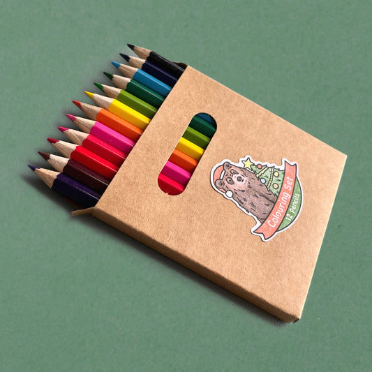Mini Colouring Pencil Set