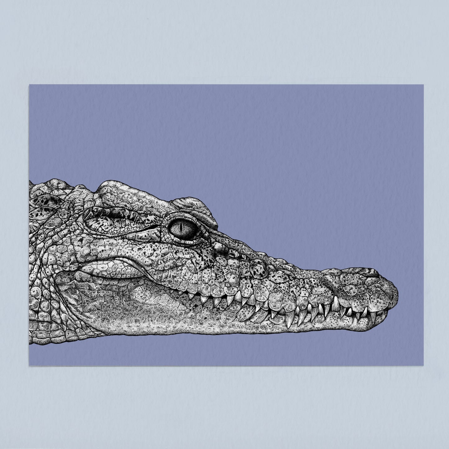Philippine crocodile art print