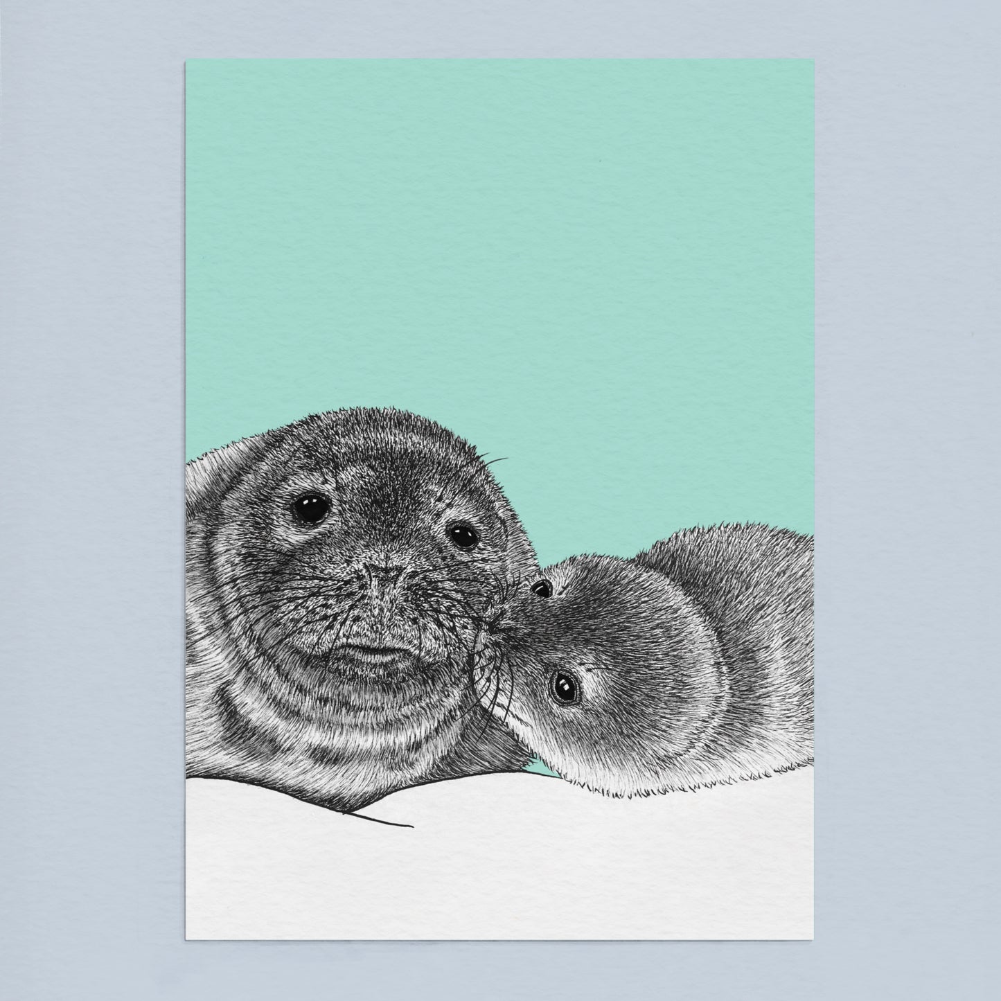 Grey seals art print