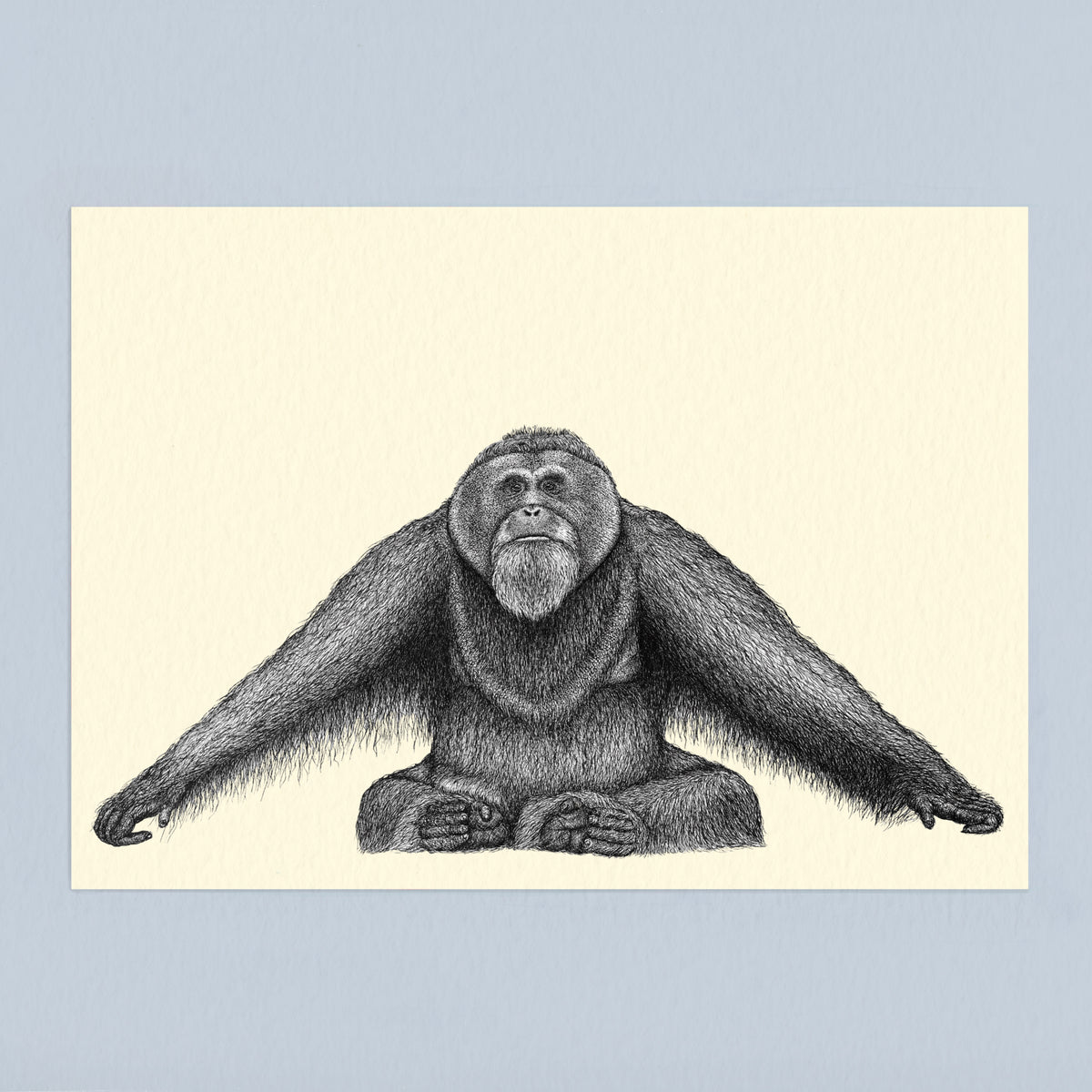 Sumatran orangutan art print