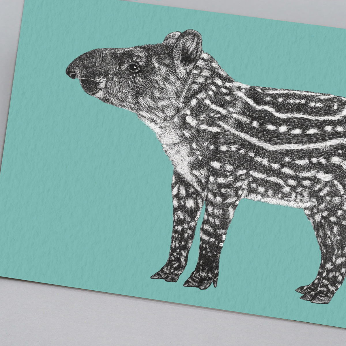 Brazilian tapir art print