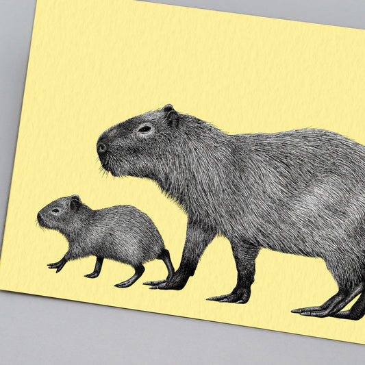 Capybara art print