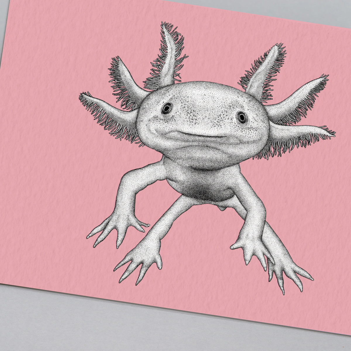 Axolotl art print