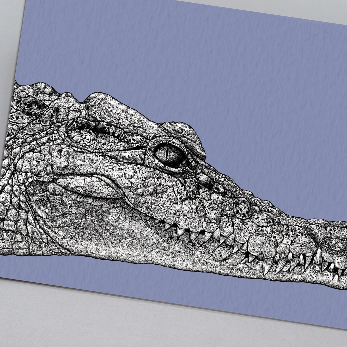 Philippine crocodile art print