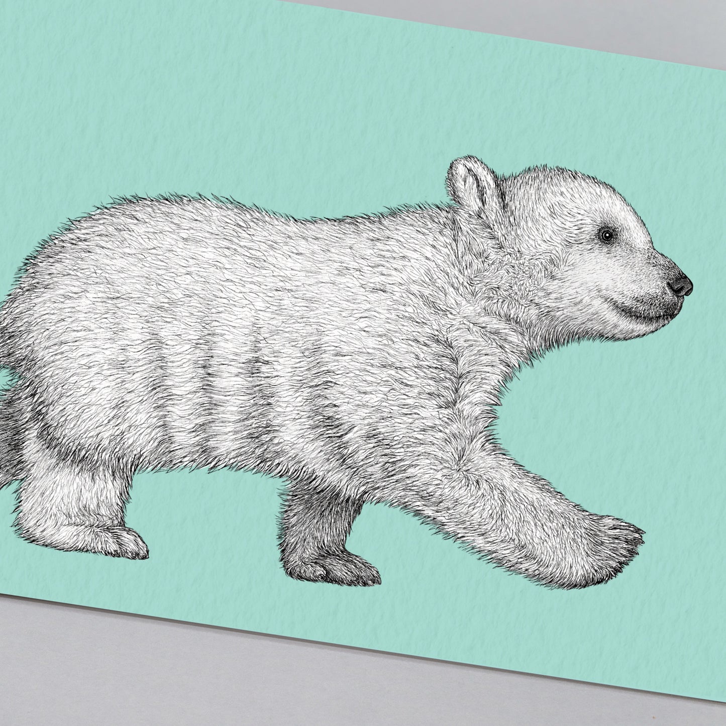 Polar bear cub art print