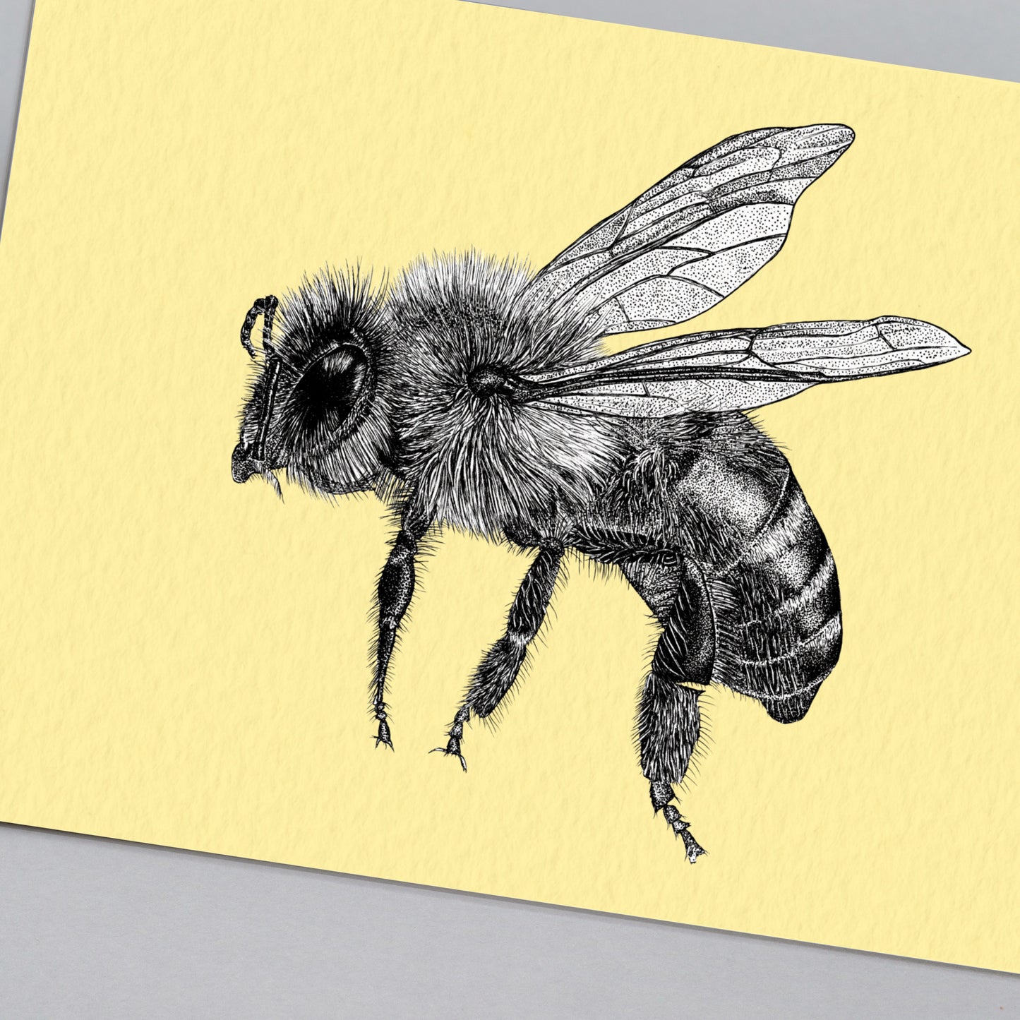 Honey bee art print
