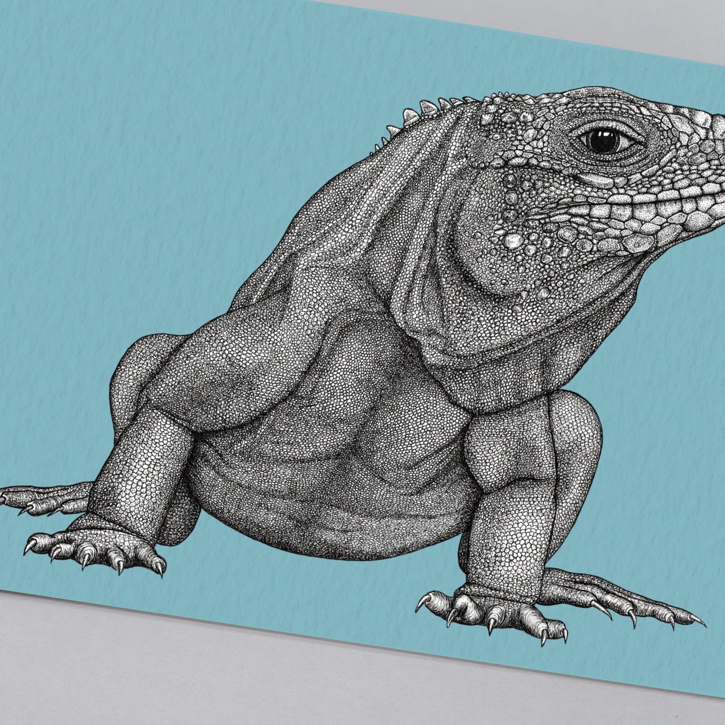 Cayman blue iguana art print