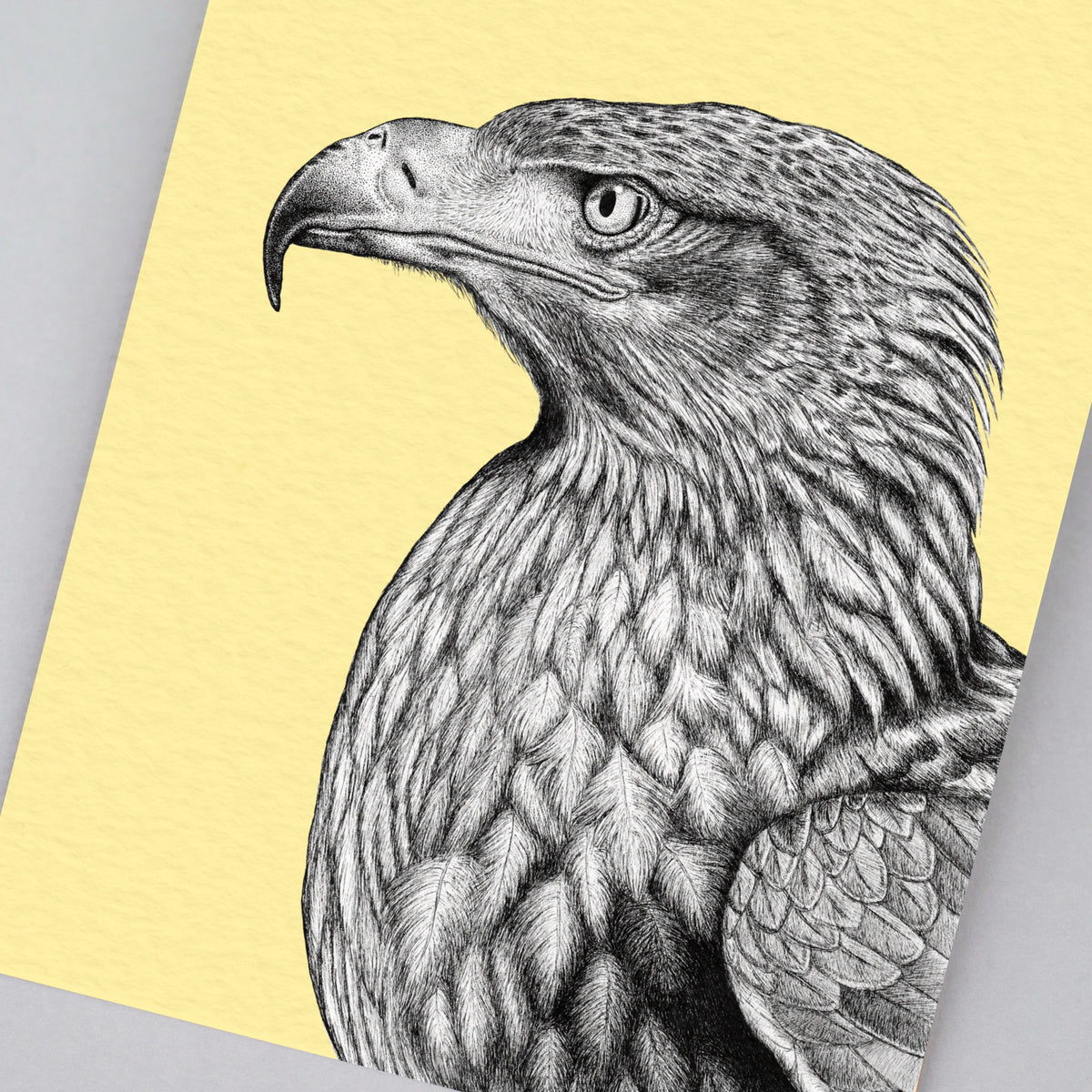 Steppe eagle art print