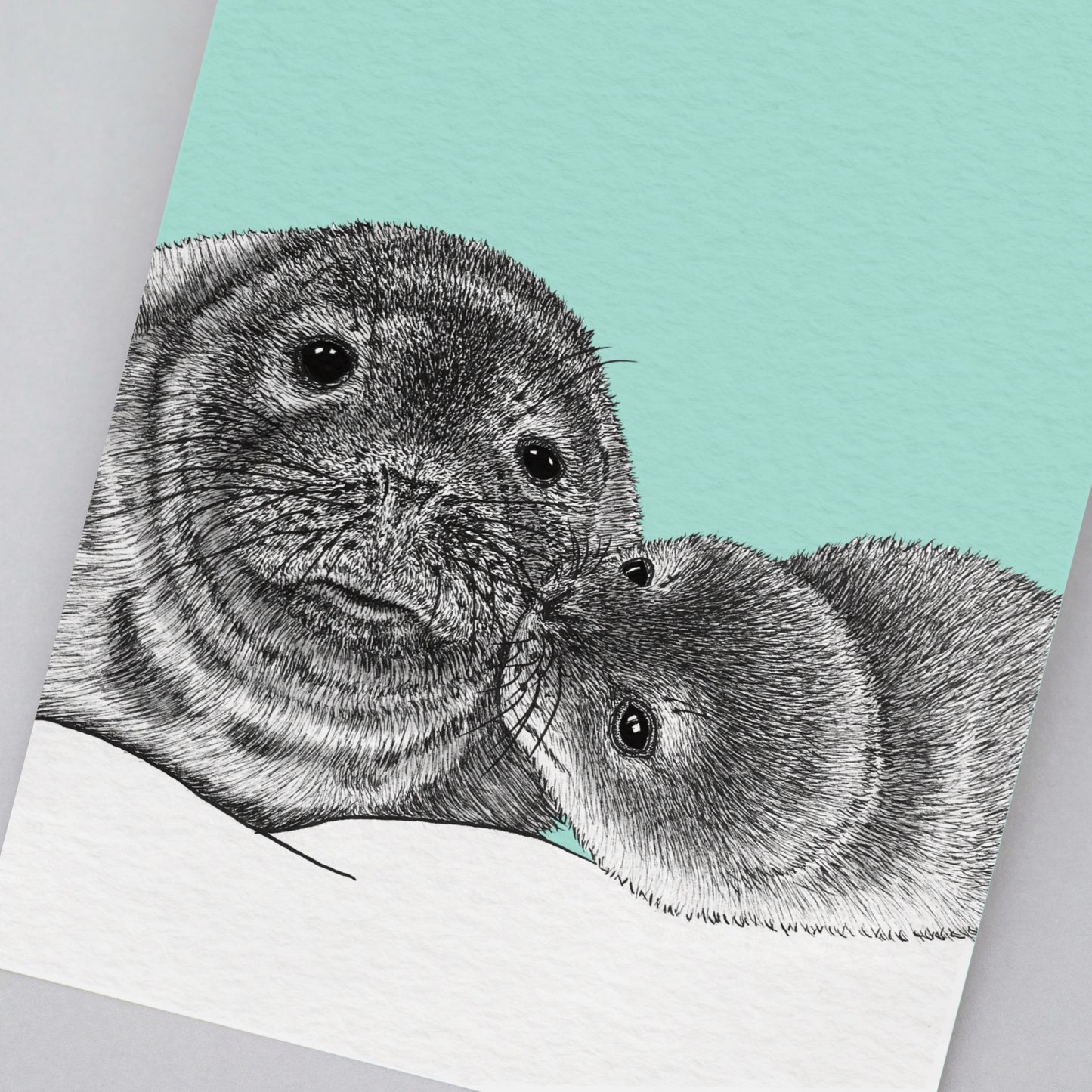 Grey seals art print