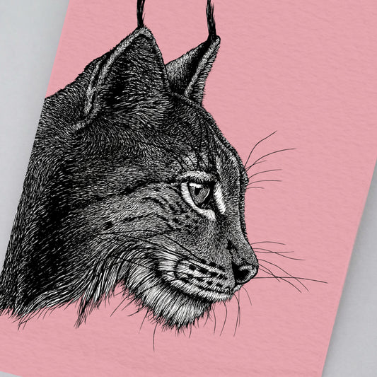 Lynx art print