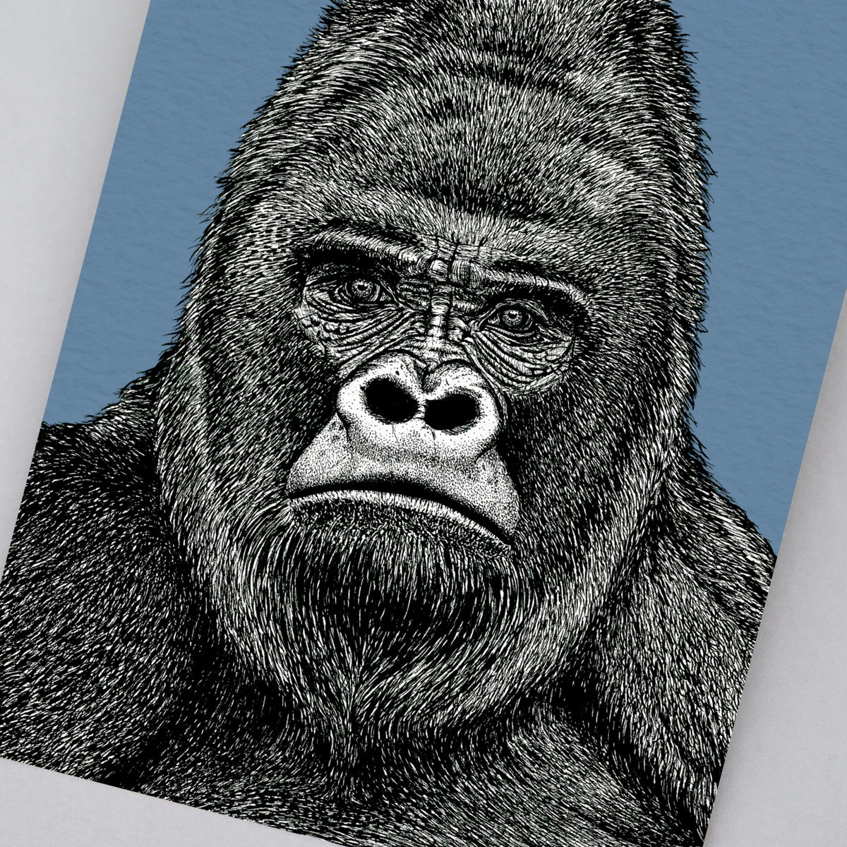 Gorilla art print