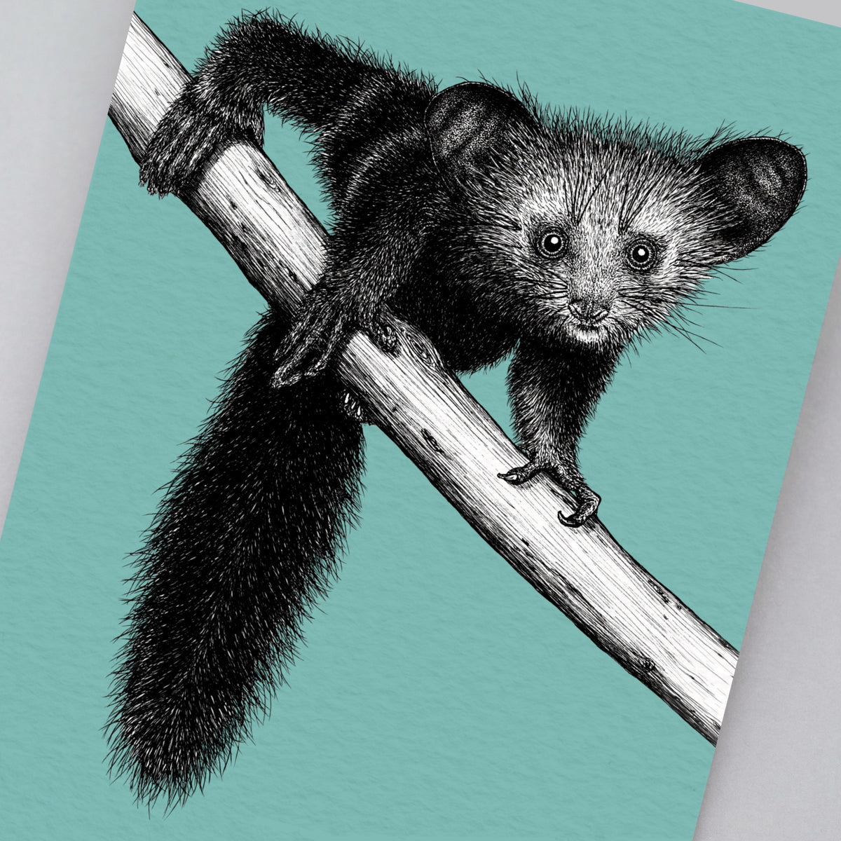 Aye aye art print