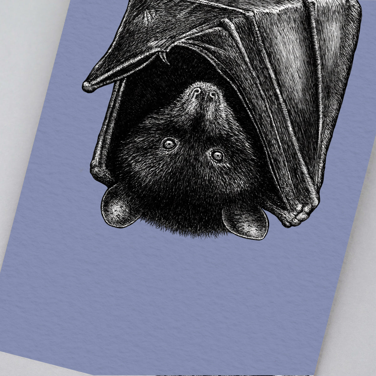 Livingstone's fruit bat art print