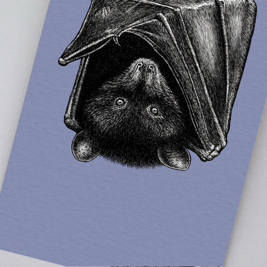 Livingstone's fruit bat art print
