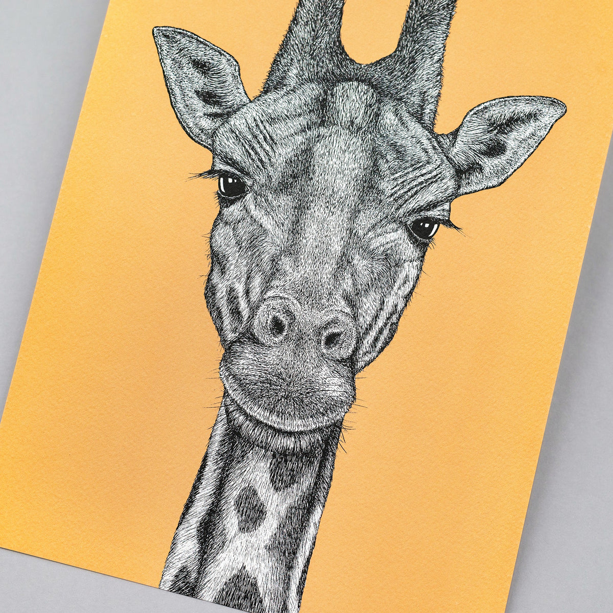 Giraffe art print